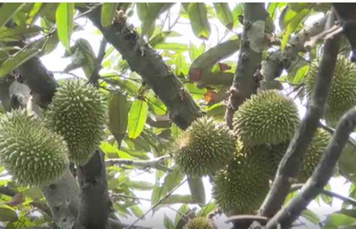 Chuyên mục: Khoa học và Công nghệ (07-04-2022)
 